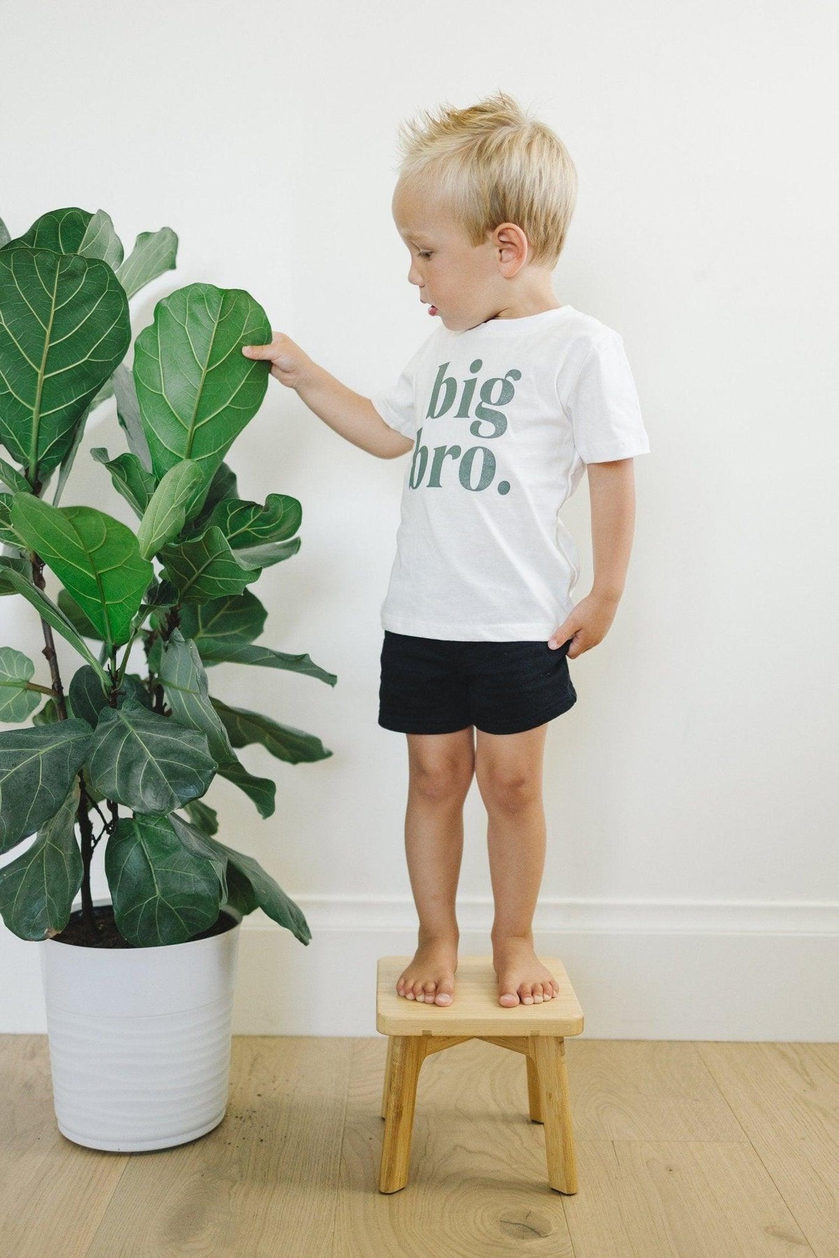 Big Bro Tee - more colors - Shop Avnu