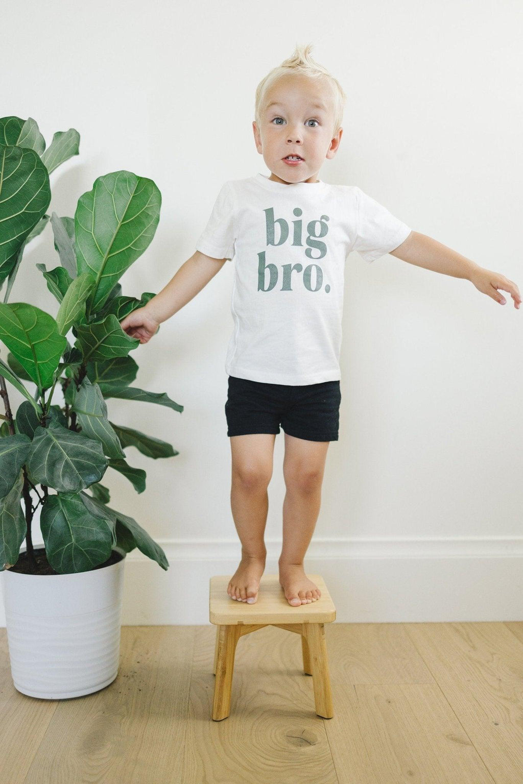 Big Bro Tee - more colors - Shop Avnu