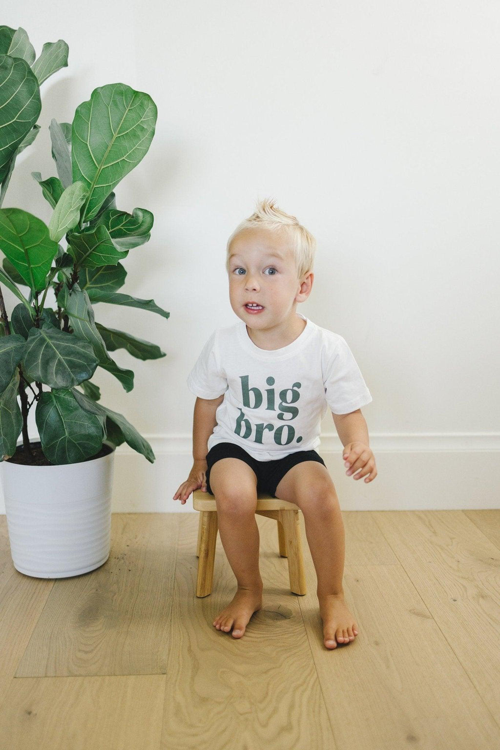 Big Bro Tee - more colors - Shop Avnu