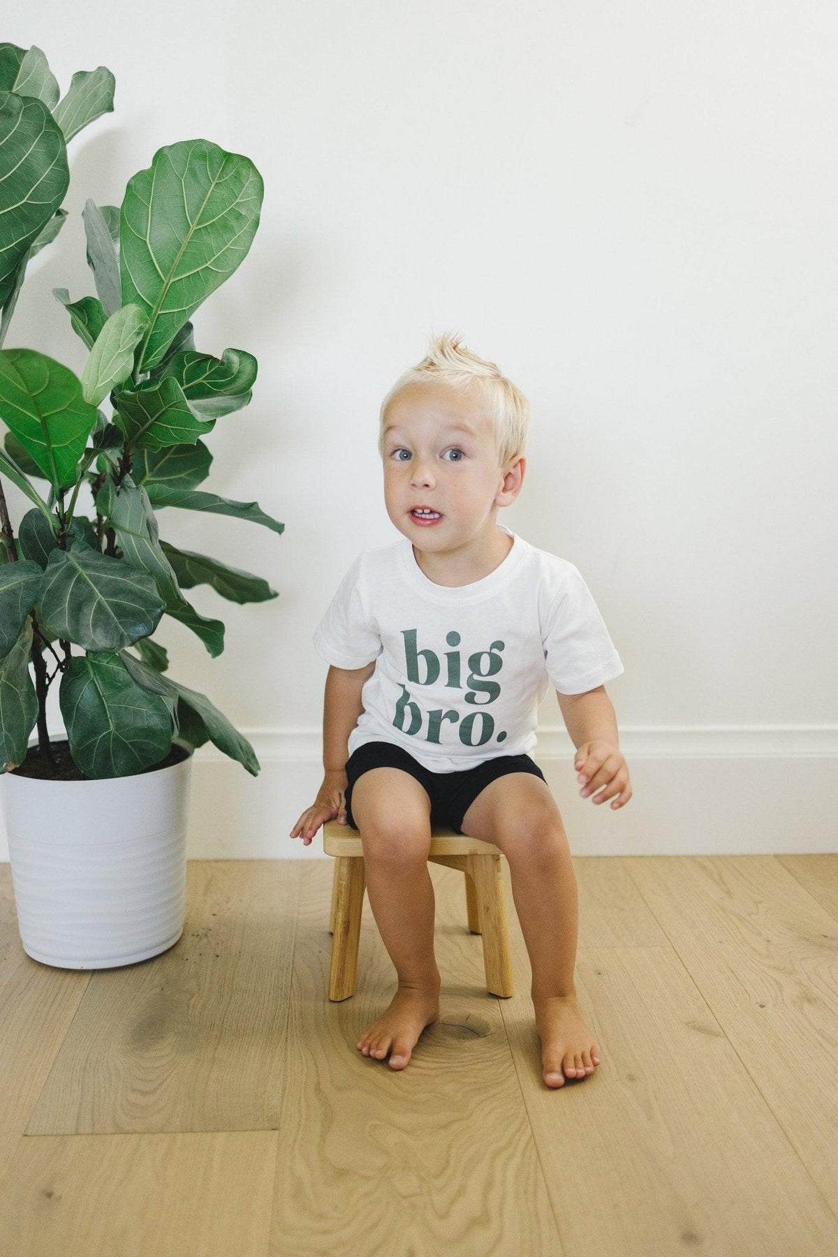 Big Bro Tee - more colors - Shop Avnu