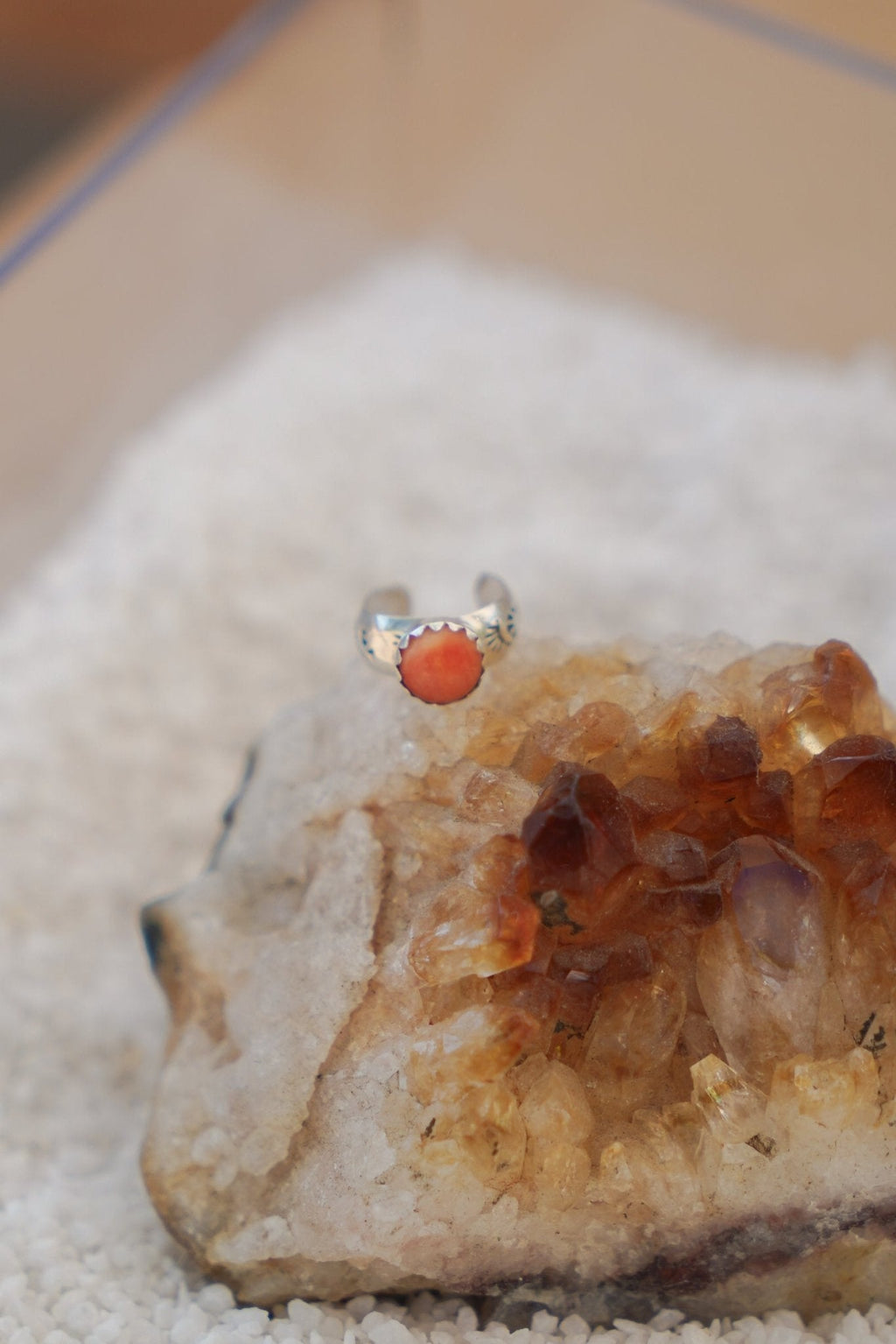 Ear Cuff in Spiny Oyster