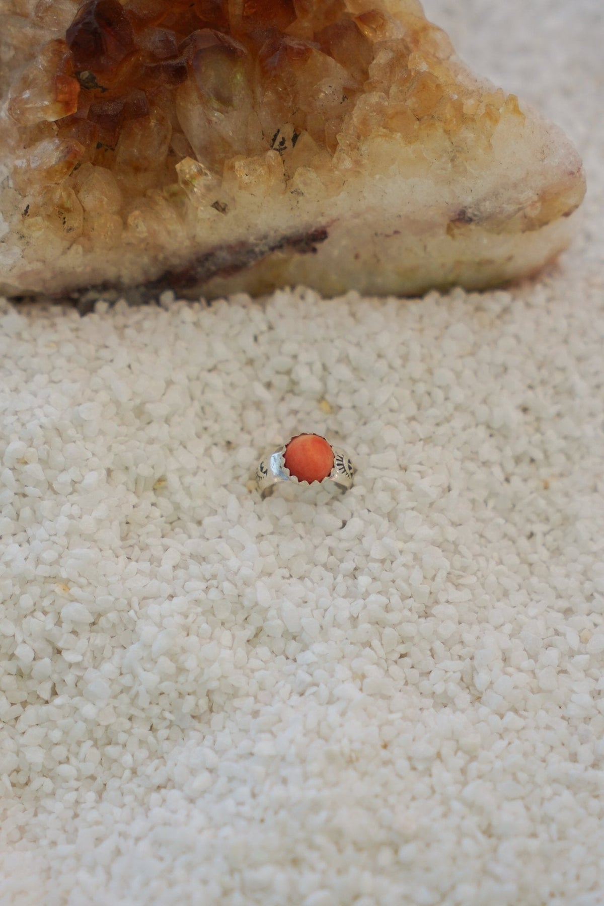 Ear Cuff in Spiny Oyster