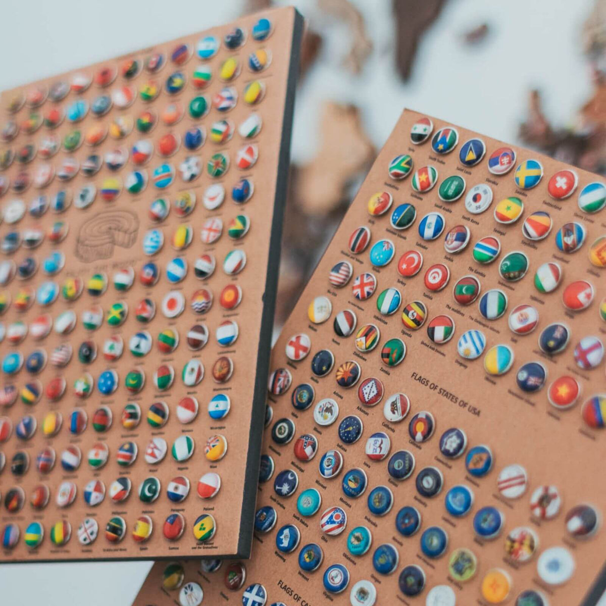 Bundle: Colored Map and Flags Pins