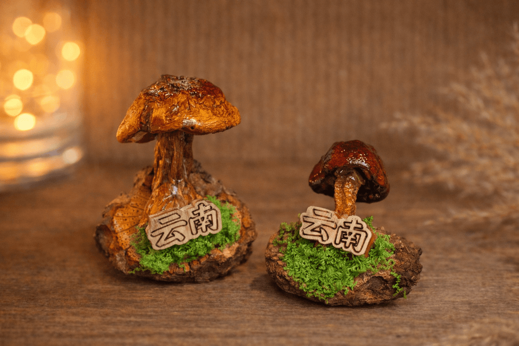 Handcrafted Real-Mushroom Fridge Magnets – Nature Preserved in Art Gift Idea