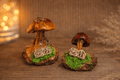 Handcrafted Real-Mushroom Fridge Magnets – Nature Preserved in Art Gift Idea