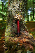 Handmade Chacha Oleander Seed Pod Wooden Handle Shaker – Rainforest Rhythm Instrument