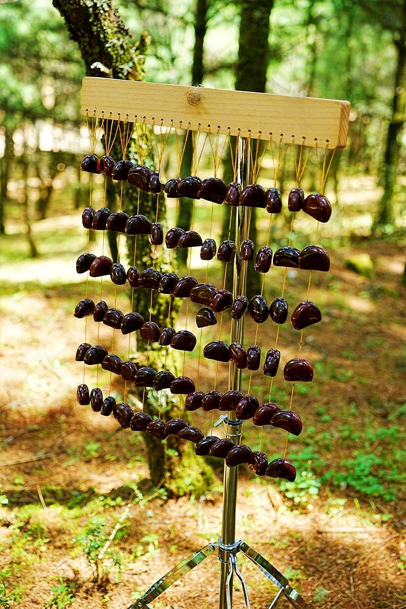 Handmade Juju Duckvine Seed Shell Bar Wind Chime – Natural Rainforest Sound