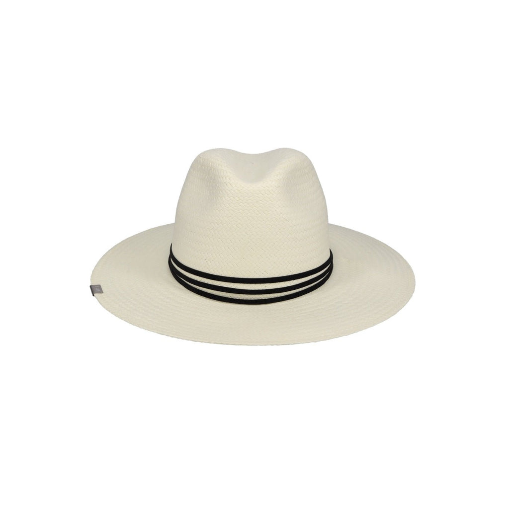 Elevated Collection - Shop Avnu