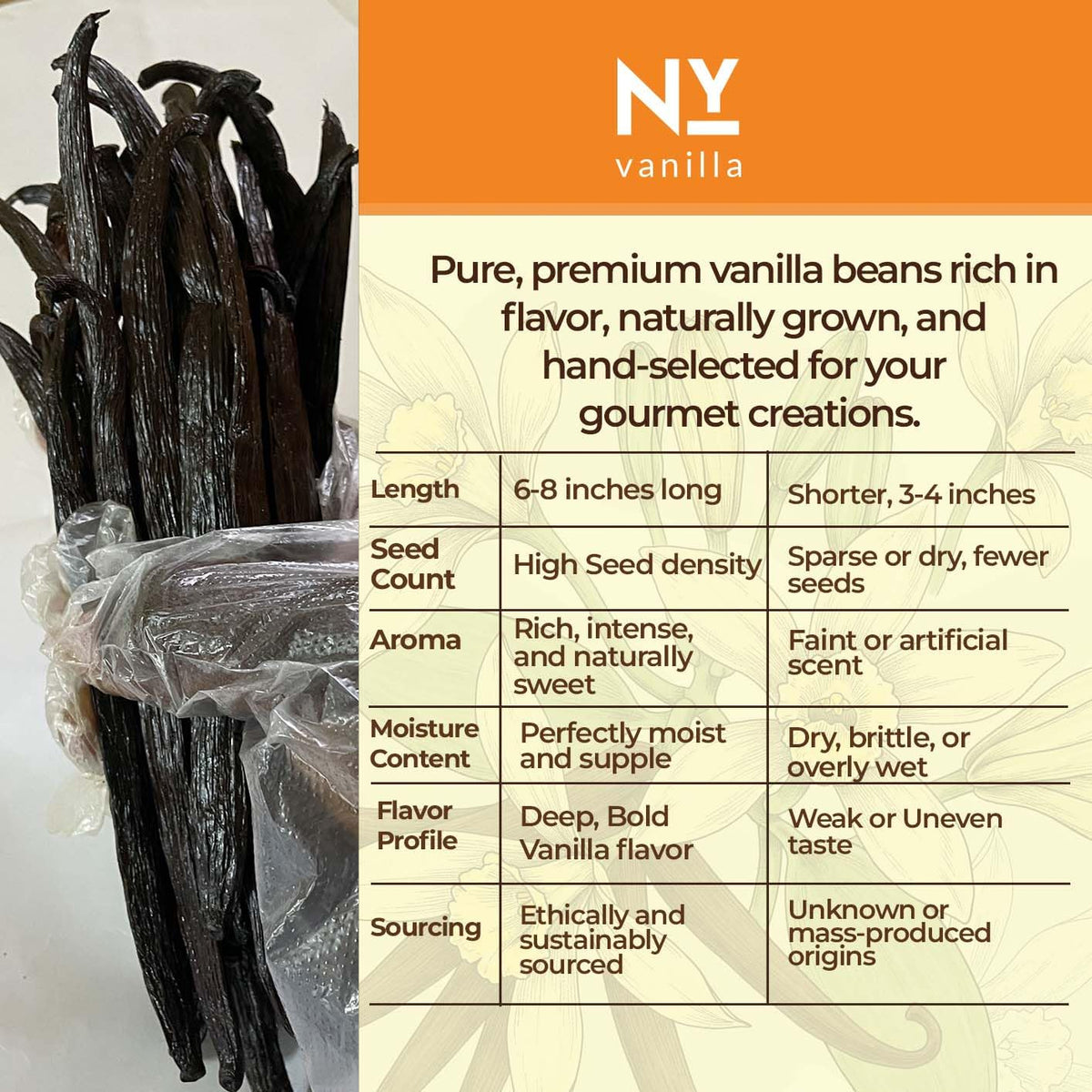 Premium Vanilla Bean Pods – Bulk 1 lb from NY Vanilla