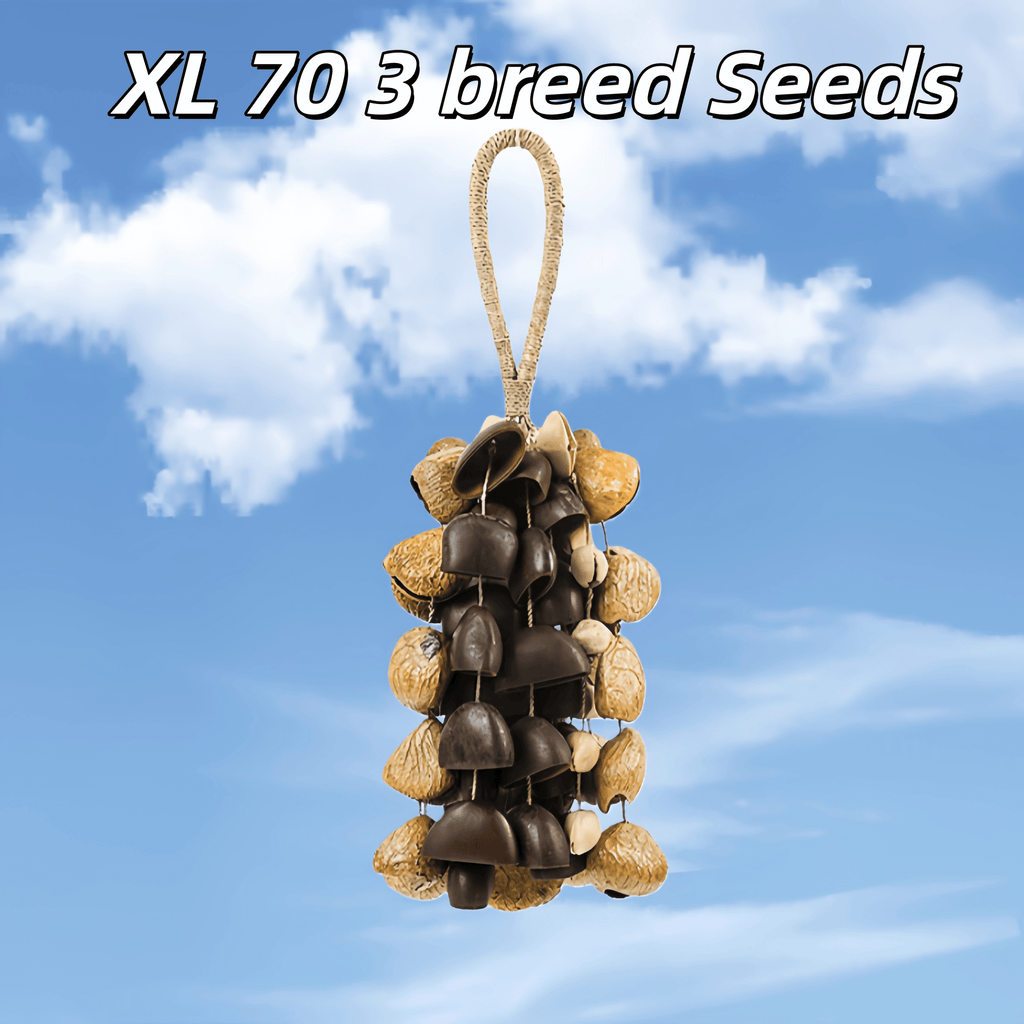 Seed Shaker | Handmade Entada, Pala Cardamom & Chacha Oleander Seed Shell Hand Bell– Natural Rainforest Sound