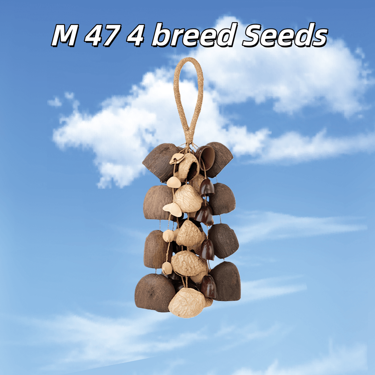 Seed Shaker | Handmade Entada, Pala Cardamom & Chacha Oleander Seed Shell Hand Bell– Natural Rainforest Sound