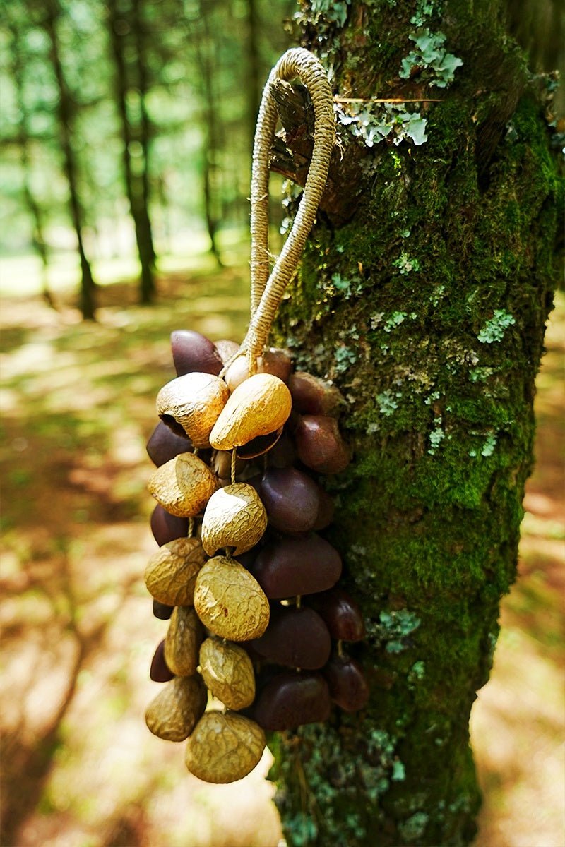 Seed Shaker | Handmade Entada, Pala Cardamom & Chacha Oleander Seed Shell Hand Bell– Natural Rainforest Sound