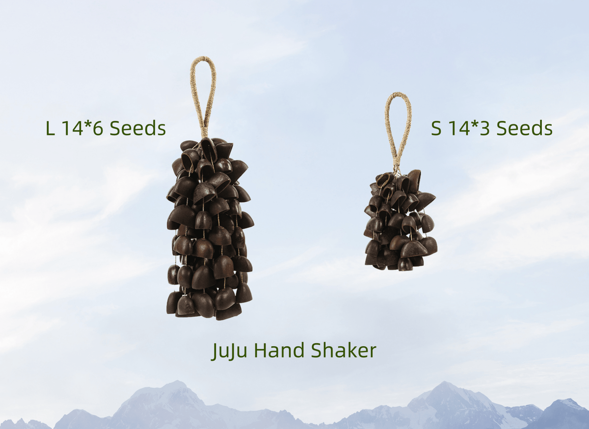 Seed Shaker | Handmade Juju Duckfoot Vine Seed Shell Hand Bell – Natural Rainforest Sound Decor