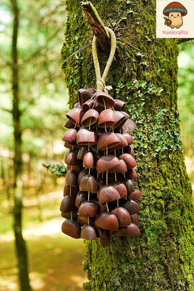 Seed Shaker | Handmade Juju Duckfoot Vine Seed Shell Hand Bell – Natural Rainforest Sound Decor