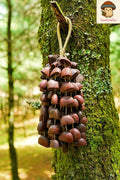 Seed Shaker | Handmade Juju Duckfoot Vine Seed Shell Hand Bell – Natural Rainforest Sound Decor