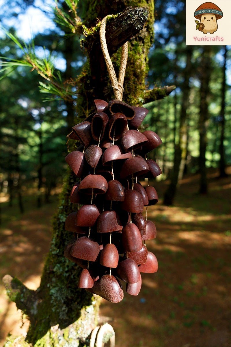 Seed Shaker | Handmade Juju Duckfoot Vine Seed Shell Hand Bell – Natural Rainforest Sound Decor
