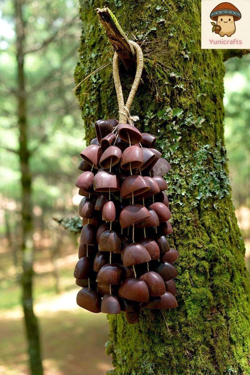 Seed Shaker | Handmade Juju Duckfoot Vine Seed Shell Hand Bell – Natural Rainforest Sound Decor