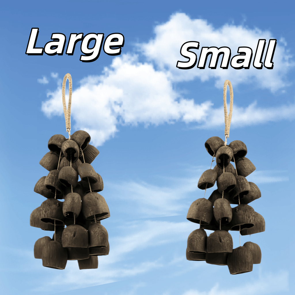 Seed Shaker | Handmade Salin Water Bellwood Seed Shell Hand Bell – Natural Rainforest Decor