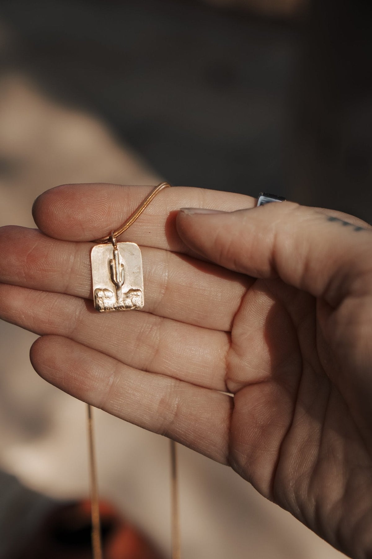 Sonoran Desert Necklace in 14k Gold-Fill