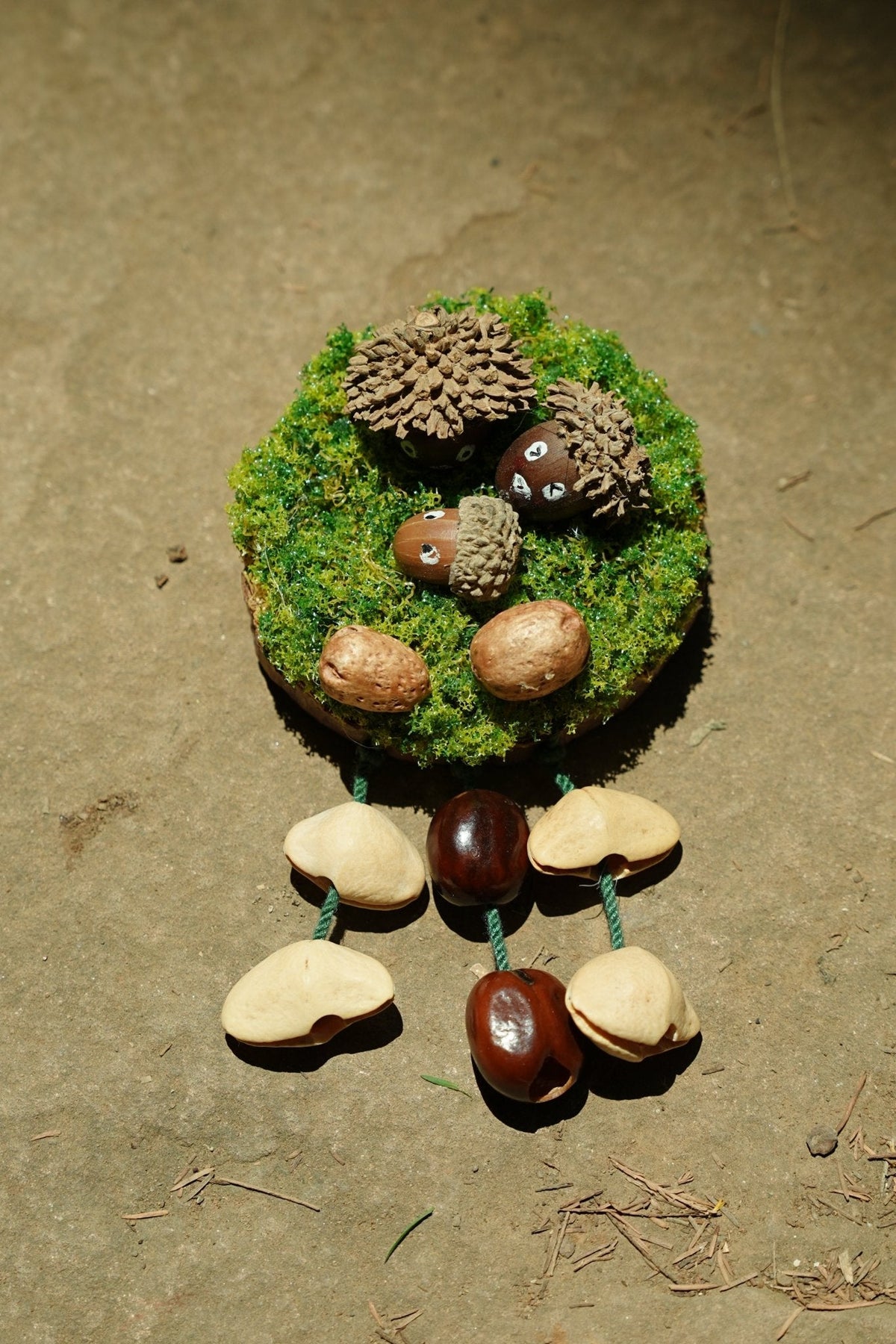 "The Acorn Family" - Handmade Moss Forest Wall Hanging & Seed Mobile