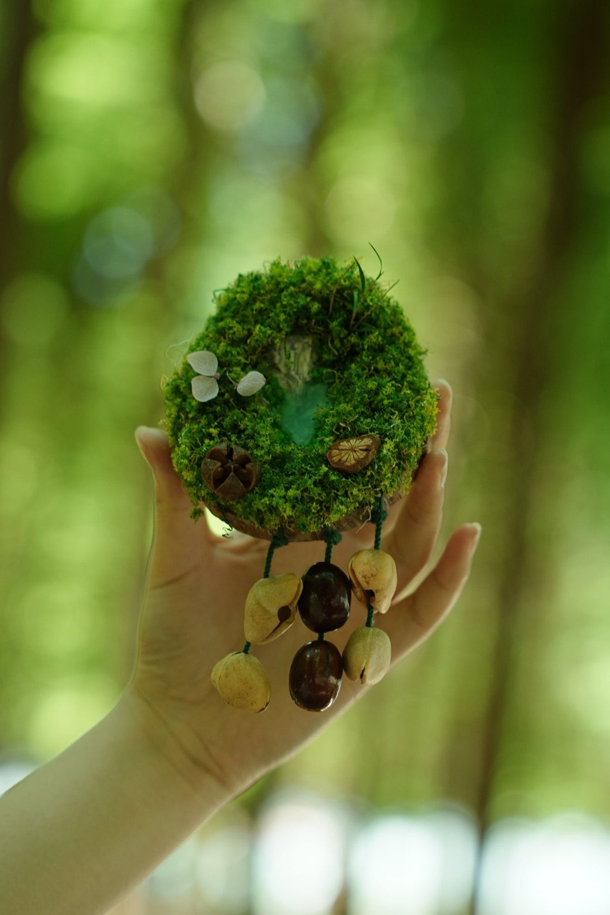 "The Acorn Family" - Handmade Moss Forest Wall Hanging & Seed Mobile