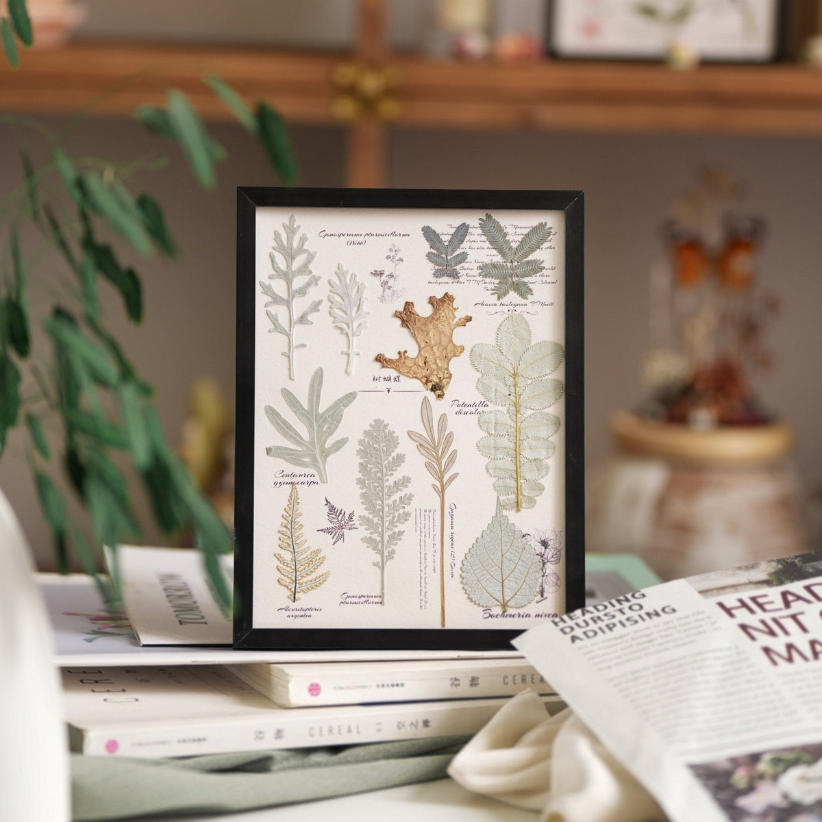 "The Botanist’s Journal" - Real Pressed Flower & Foliage Art Frames (4 Themes)