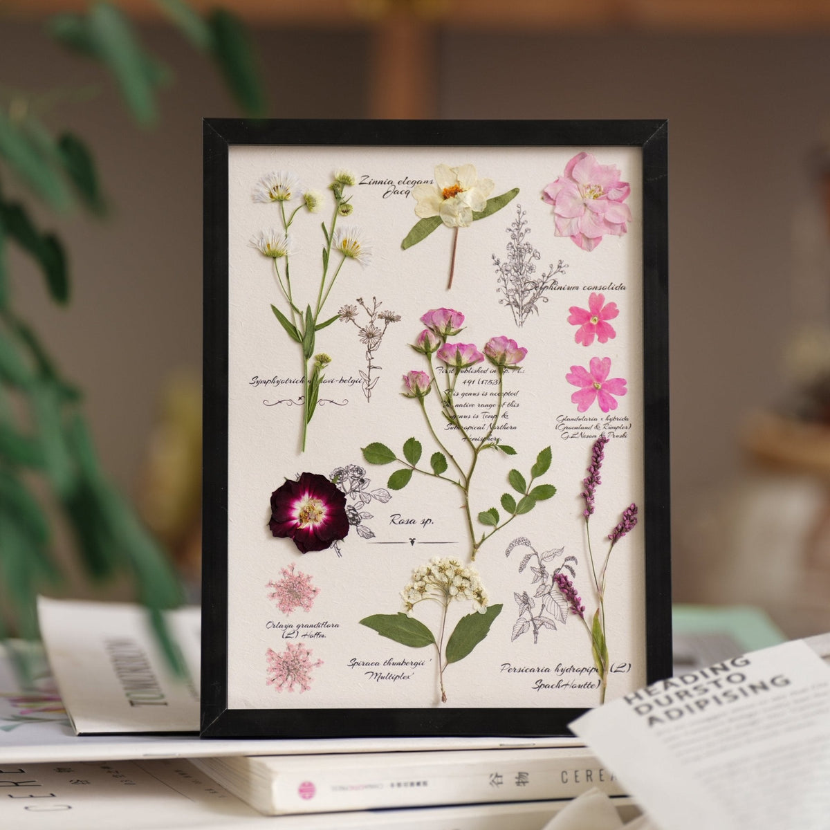 "The Botanist’s Journal" - Real Pressed Flower & Foliage Art Frames (4 Themes)