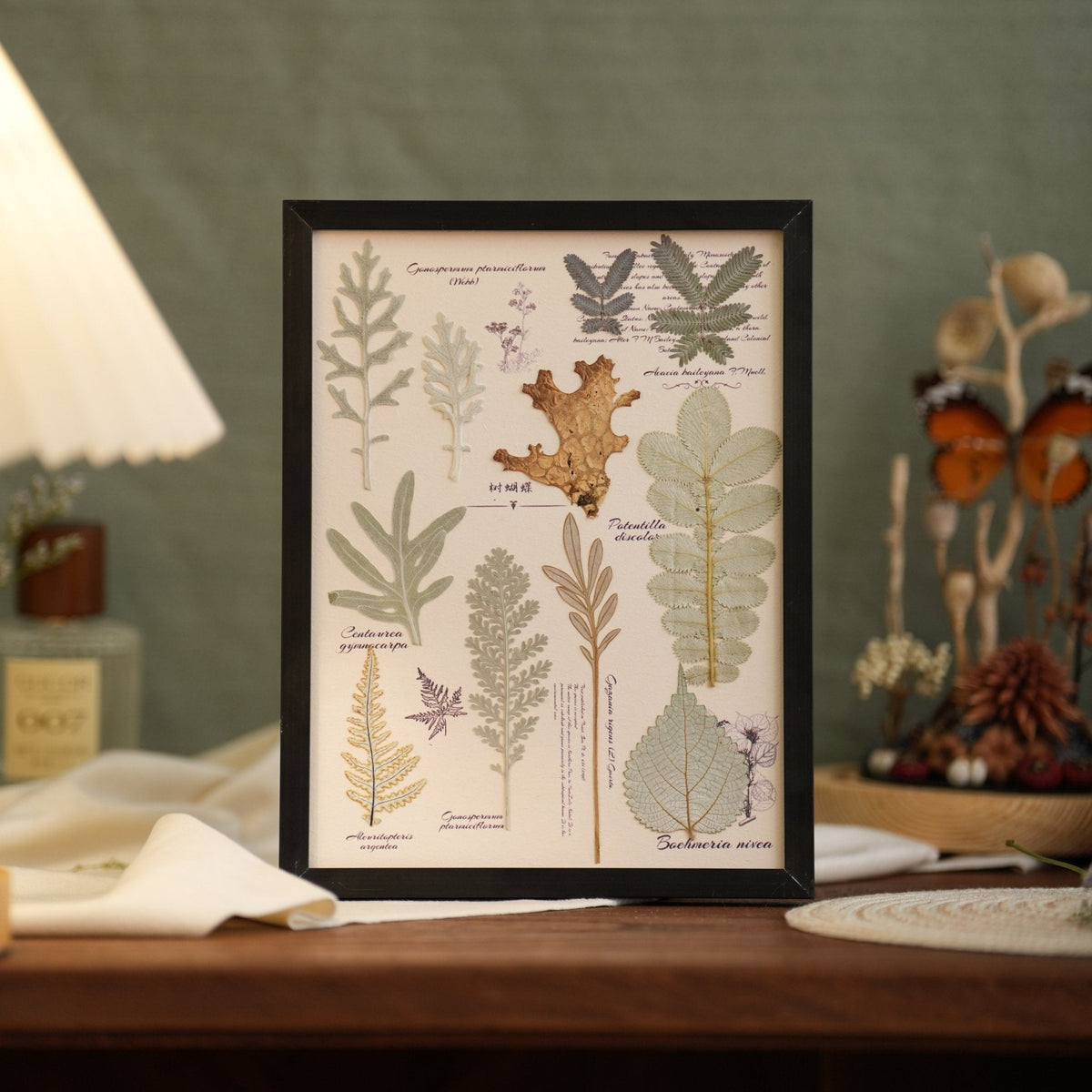"The Botanist’s Journal" - Real Pressed Flower & Foliage Art Frames (4 Themes)