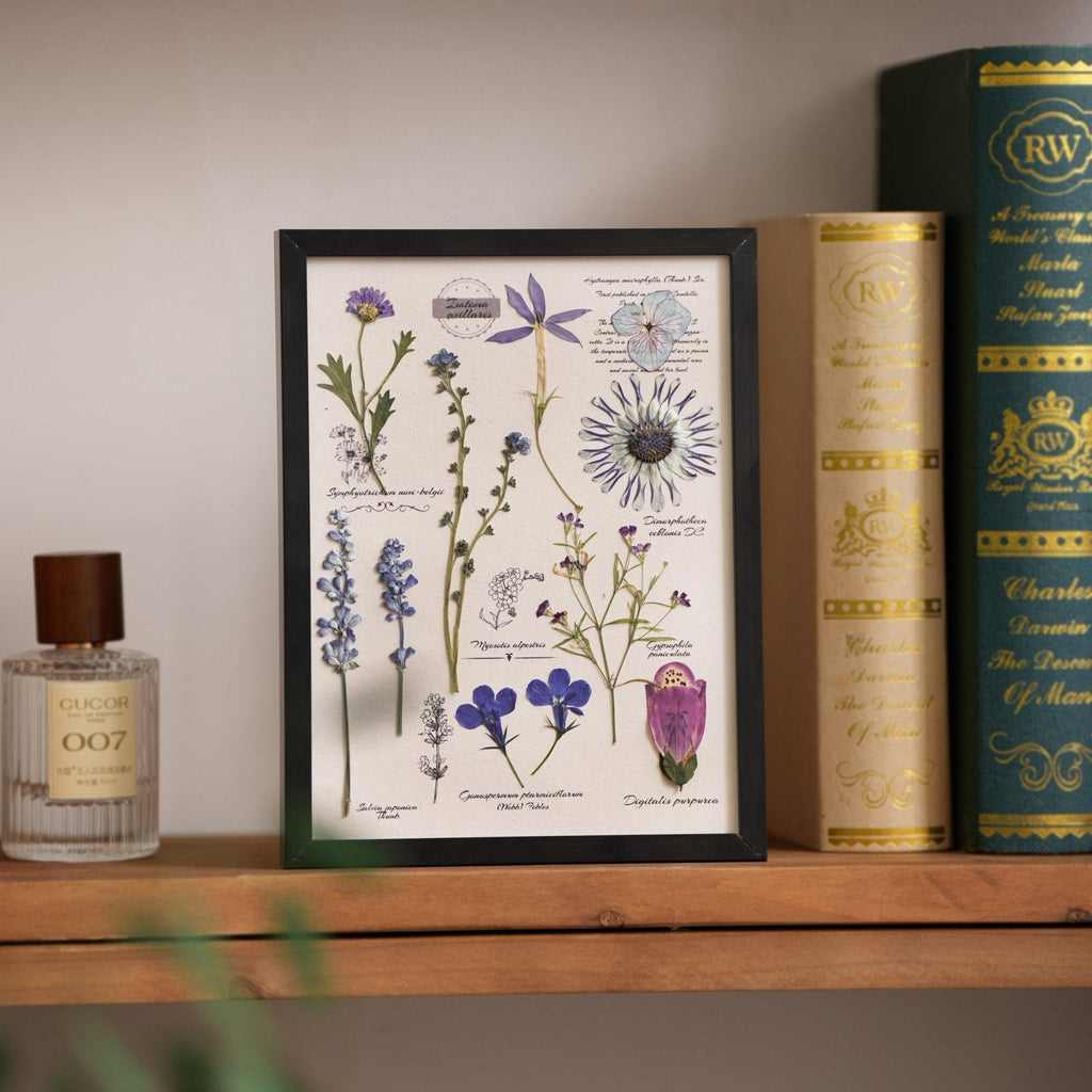 "The Botanist’s Journal" - Real Pressed Flower & Foliage Art Frames (4 Themes)