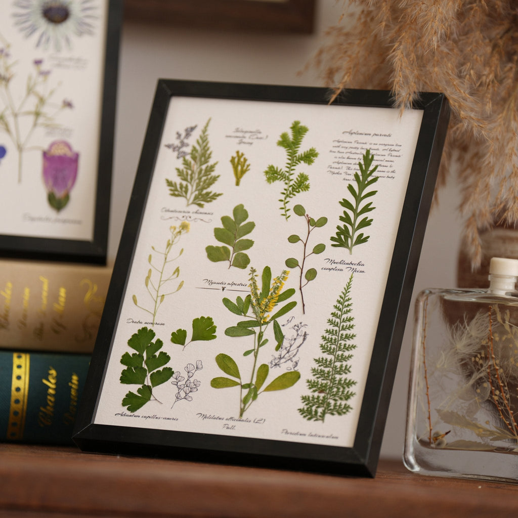 "The Botanist’s Journal" - Real Pressed Flower & Foliage Art Frames (4 Themes)