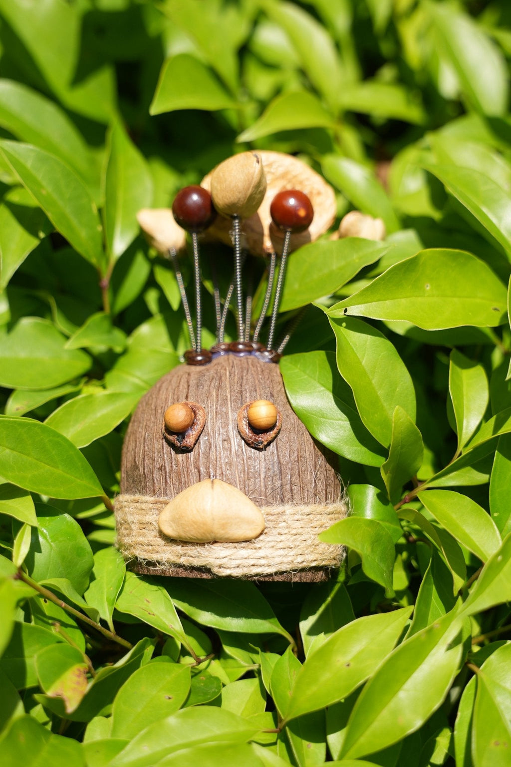 The Crazy Hair Seed Spirit