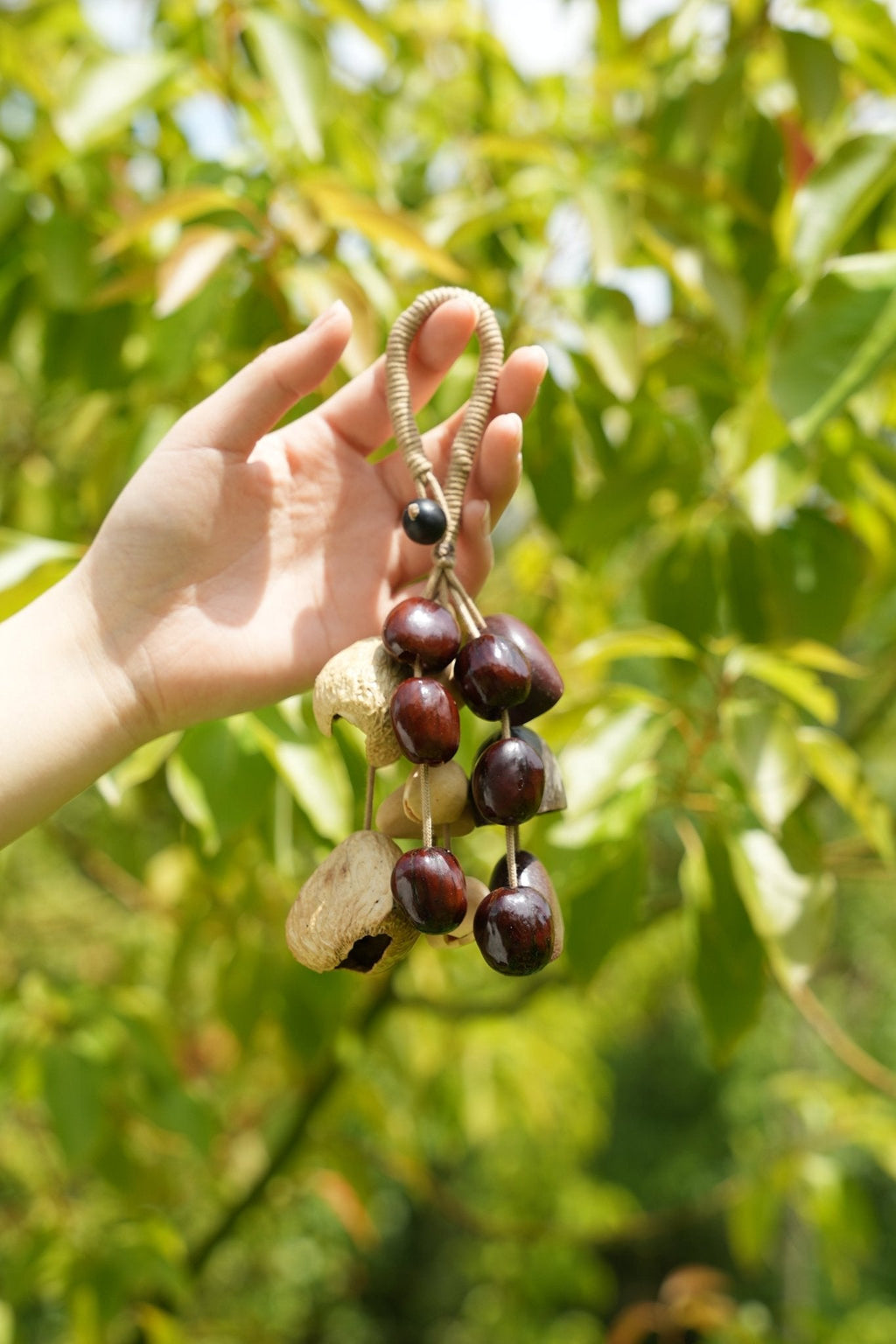 "The Deep Woods Rattle" - Dark Nut & Hollow Pod Cluster Charm with Rope Loop