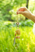 "The Forest Dancer" - Natural Nut Charm with Colorful Tassel & Wood Ring