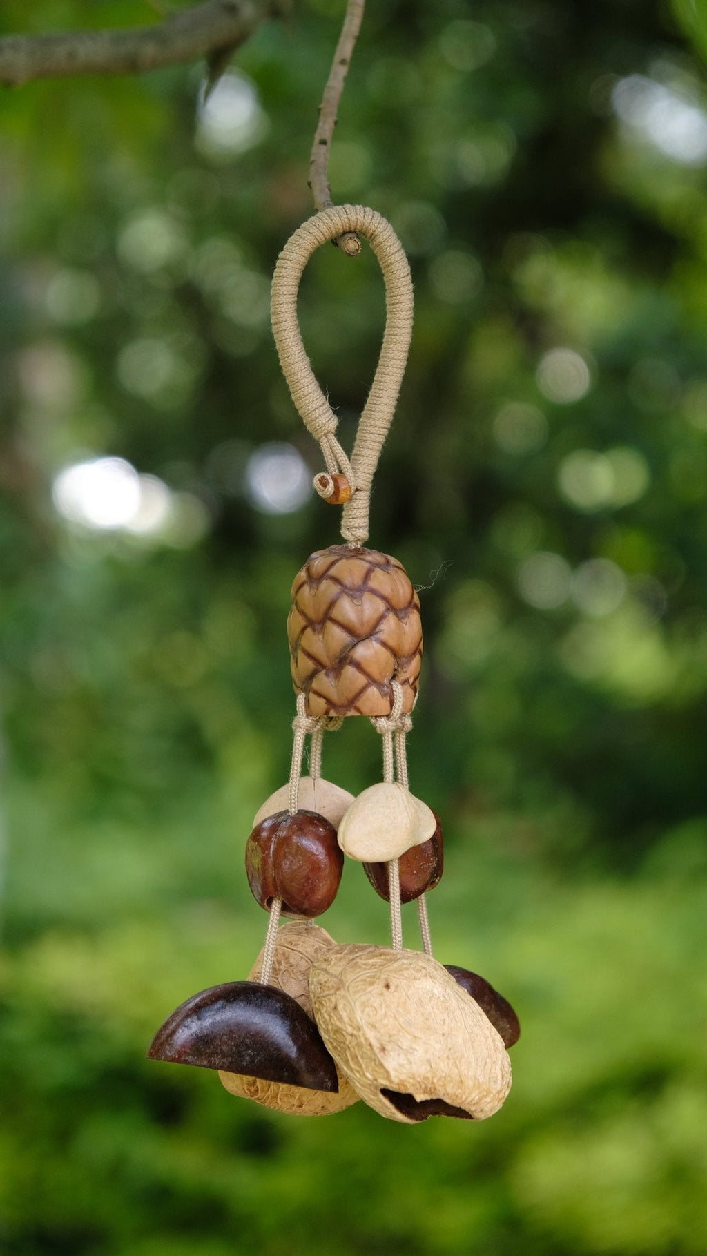 "The Forest Harvest" - Textured Pinecone-Pattern Seed & Nut Shell Mobile