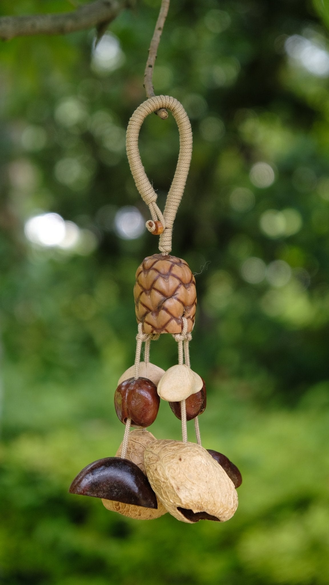 "The Forest Harvest" - Textured Pinecone-Pattern Seed & Nut Shell Mobile