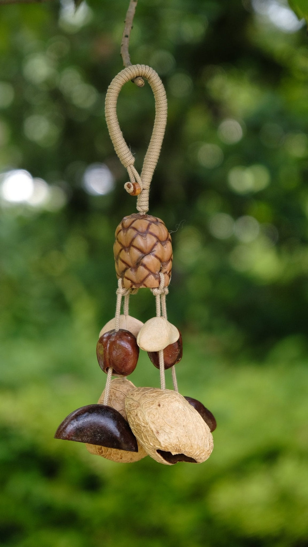 "The Forest Harvest" - Textured Pinecone-Pattern Seed & Nut Shell Mobile