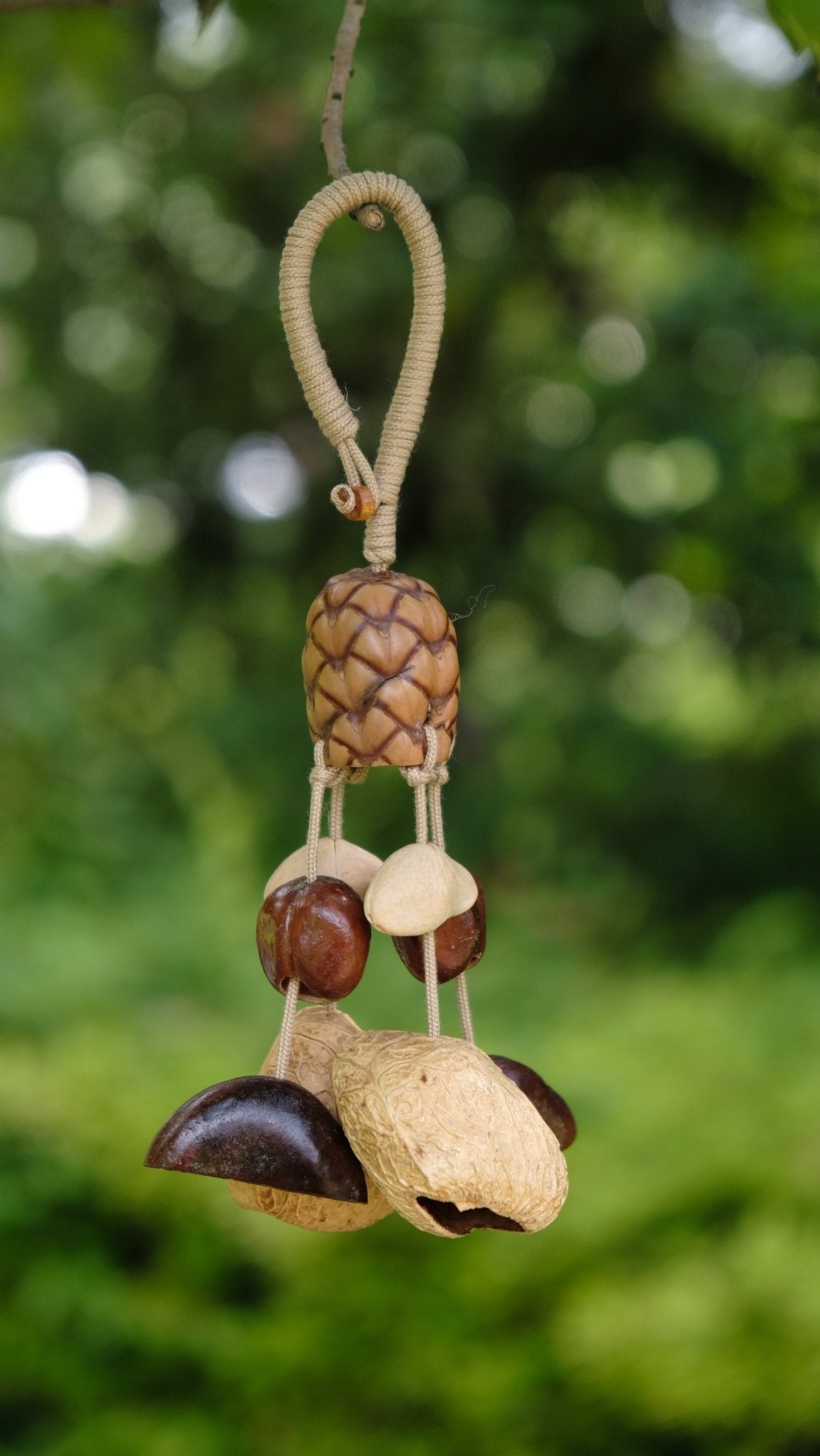 "The Forest Harvest" - Textured Pinecone-Pattern Seed & Nut Shell Mobile