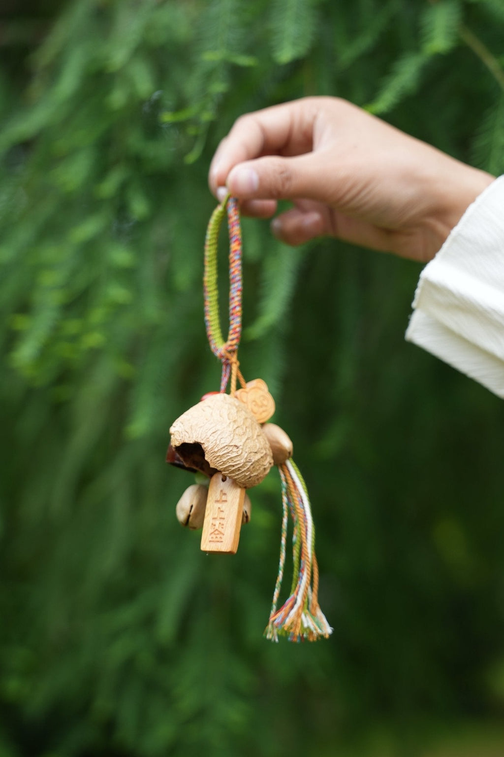 "The Fortune Seed" - Natural Pod Bag Charm with 'Best Luck' Wood Tag