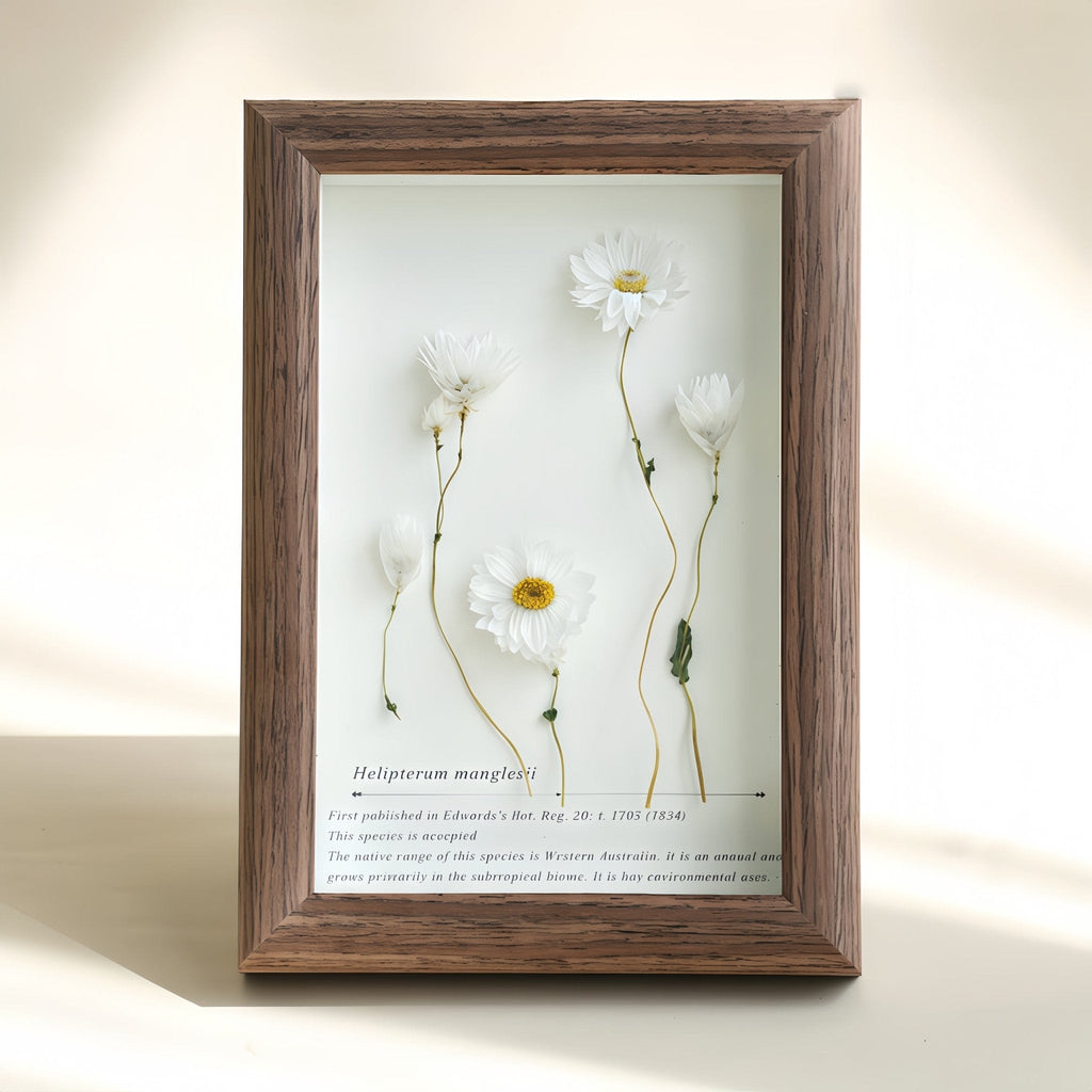"The Landscape Garden" - Real Preserved Flower Shadow Box (Panoramic Desk Decor)