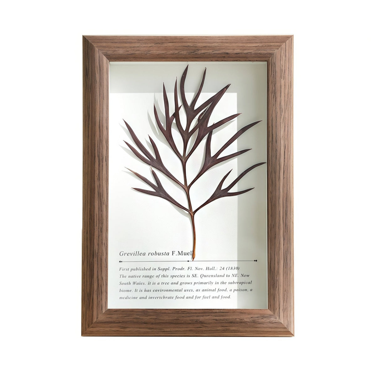"The Landscape Garden" - Real Preserved Flower Shadow Box (Panoramic Desk Decor)
