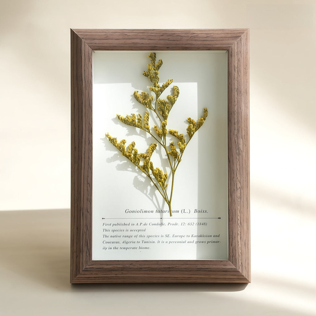 "The Landscape Garden" - Real Preserved Flower Shadow Box (Panoramic Desk Decor)
