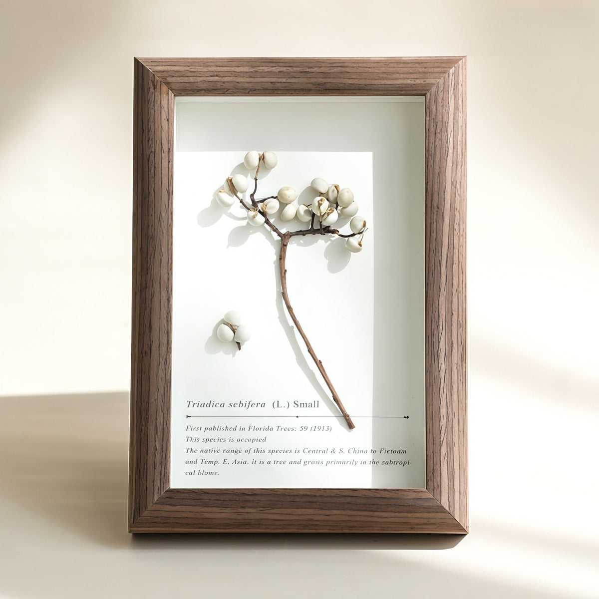 "The Landscape Garden" - Real Preserved Flower Shadow Box (Panoramic Desk Decor)
