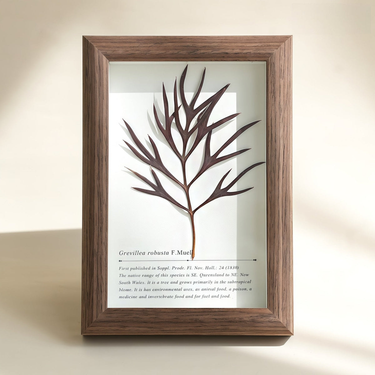 "The Landscape Garden" - Real Preserved Flower Shadow Box (Panoramic Desk Decor)