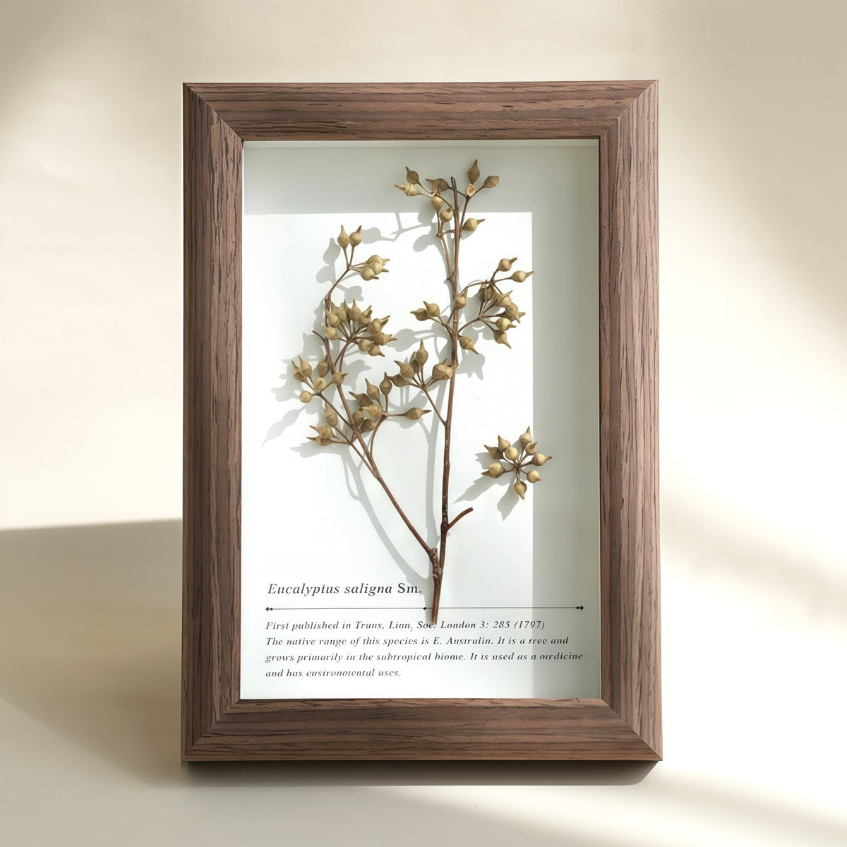 "The Landscape Garden" - Real Preserved Flower Shadow Box (Panoramic Desk Decor)