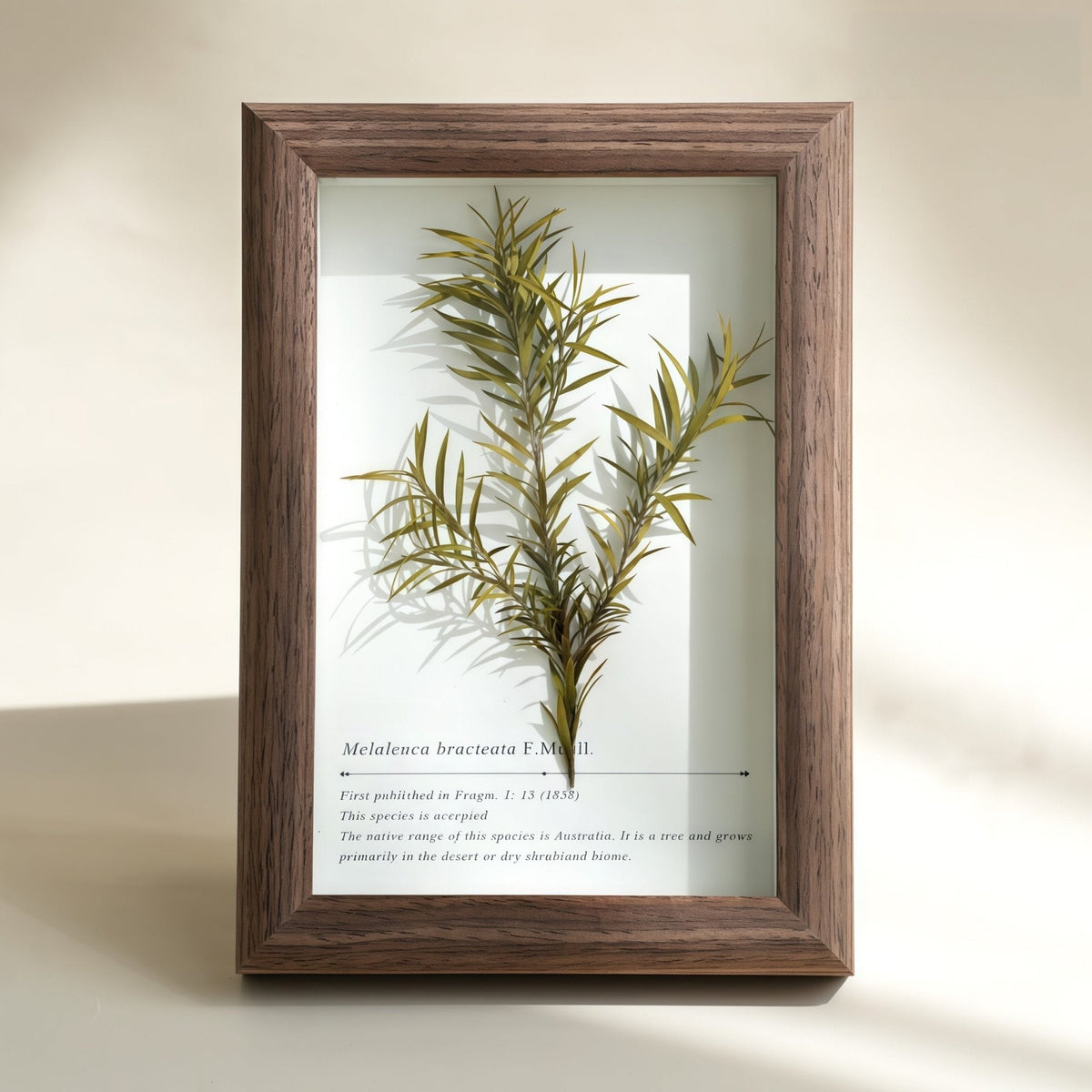 "The Landscape Garden" - Real Preserved Flower Shadow Box (Panoramic Desk Decor)
