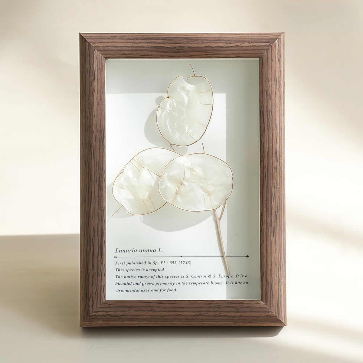 "The Landscape Garden" - Real Preserved Flower Shadow Box (Panoramic Desk Decor)