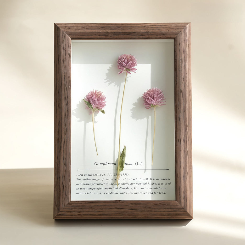 "The Landscape Garden" - Real Preserved Flower Shadow Box (Panoramic Desk Decor)