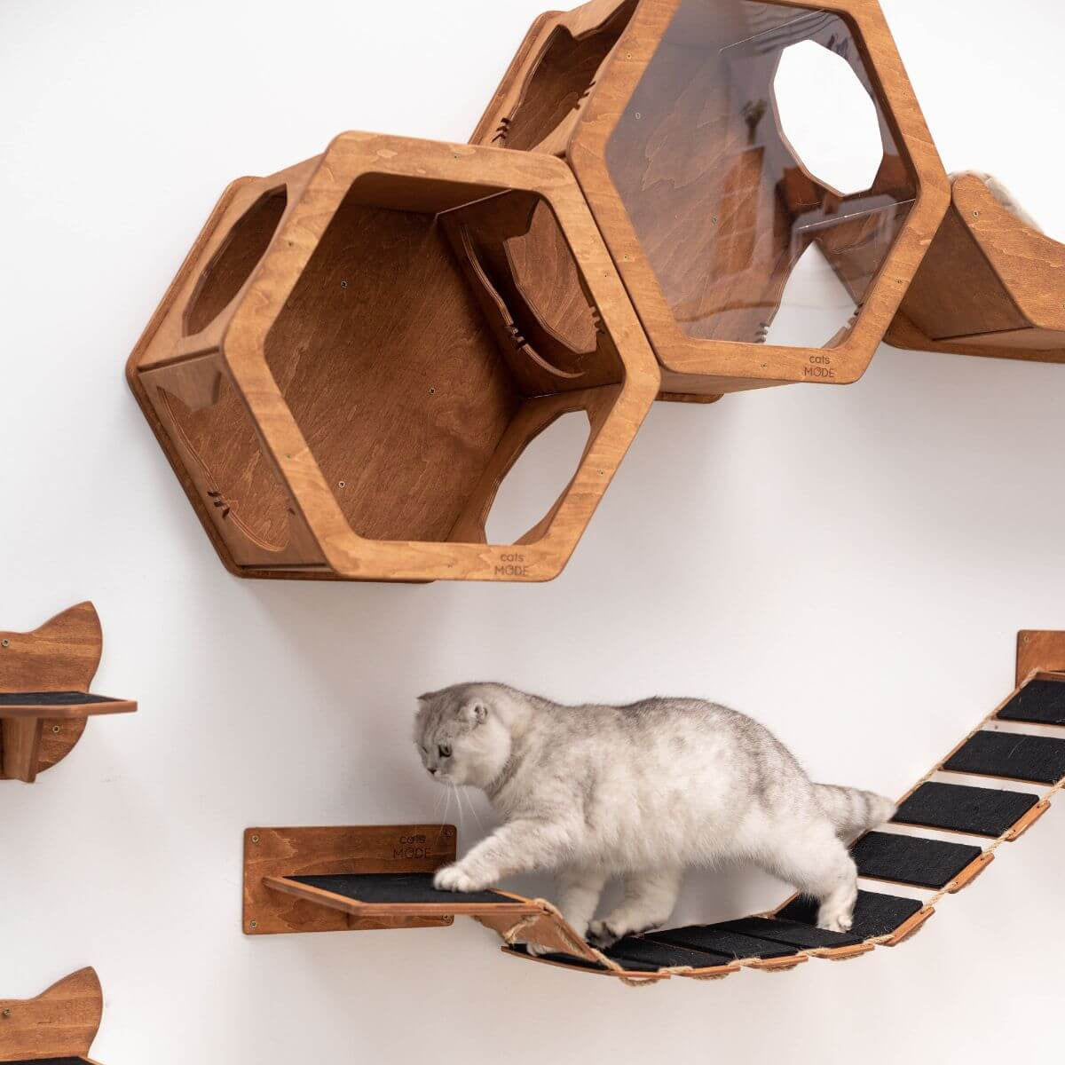 Cat Rope Bridge Oak