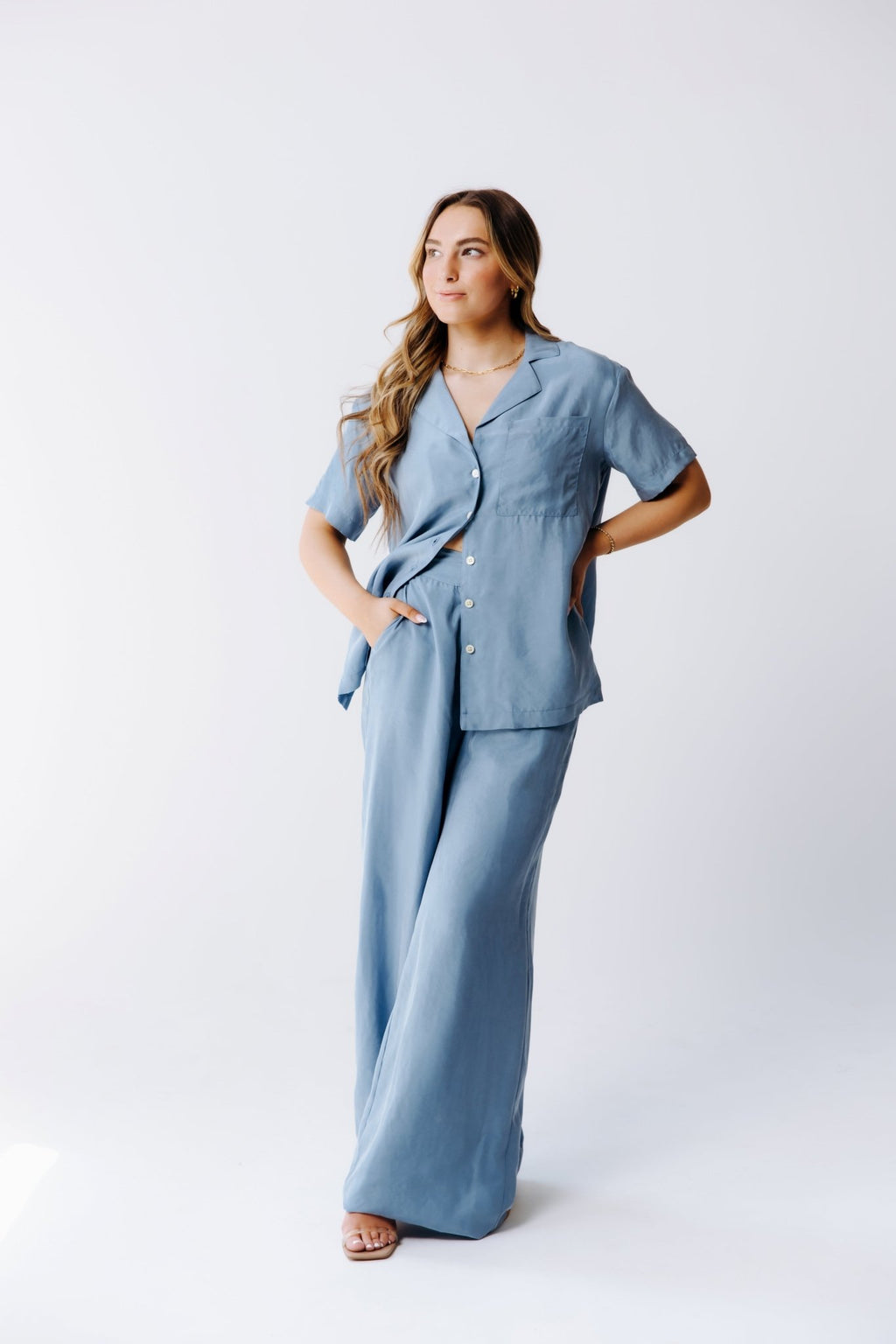 Washable Silk Wide - Leg Pants - Shop Avnu